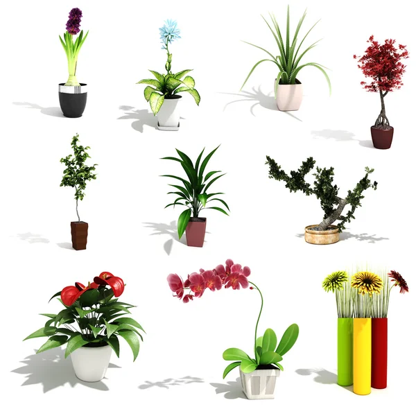 3D pack krásných domů rostlin — Stock fotografie