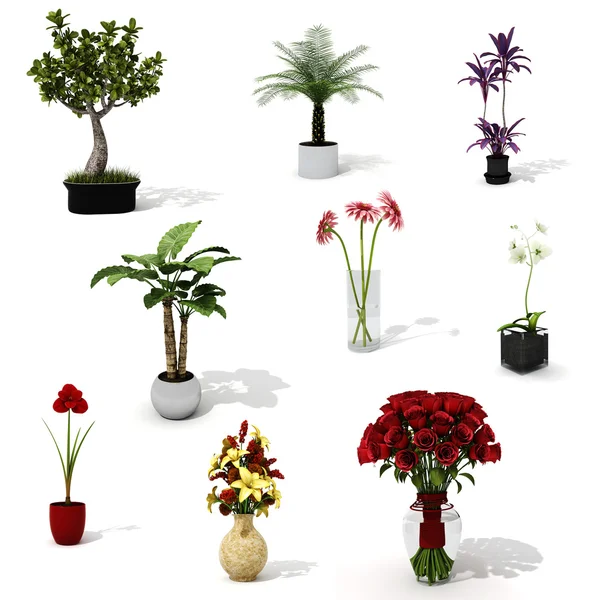 3D pack krásných domů rostlin — Stock fotografie