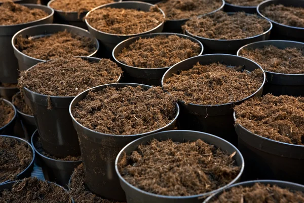 Pots with soil — Stock Photo, Image