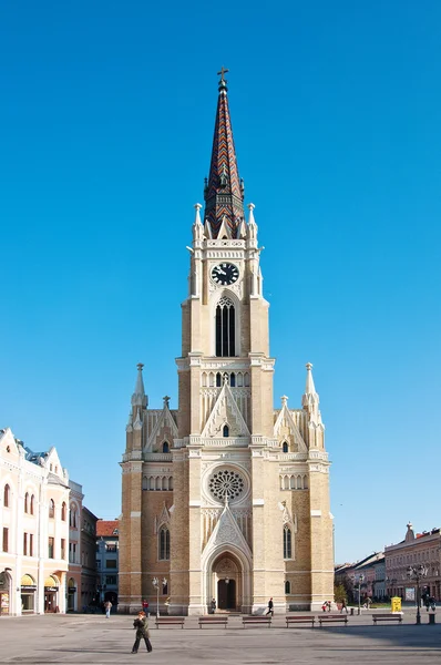Catedral católica — Foto de Stock