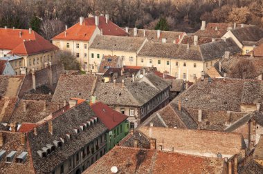 Petrovaradin