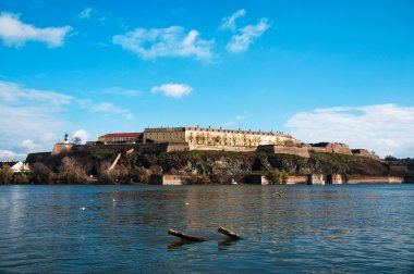 Sırp Petrovaradin kale kasaba novi sad Tuna Nehri üzerinde.