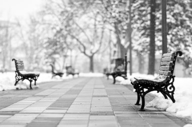 Benches in the park clipart