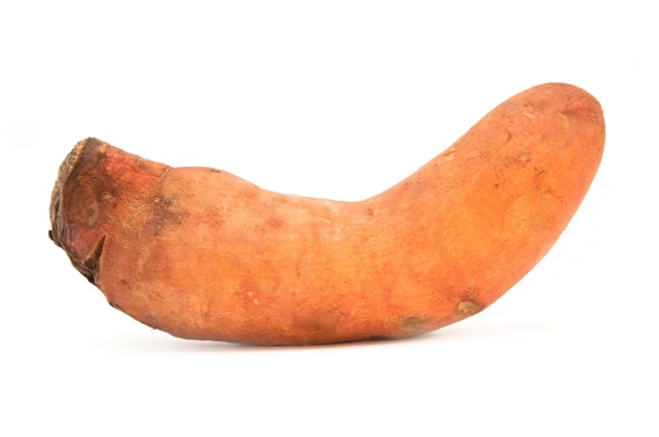 Batata-doce (Ipomoea batatas ) — Fotografia de Stock