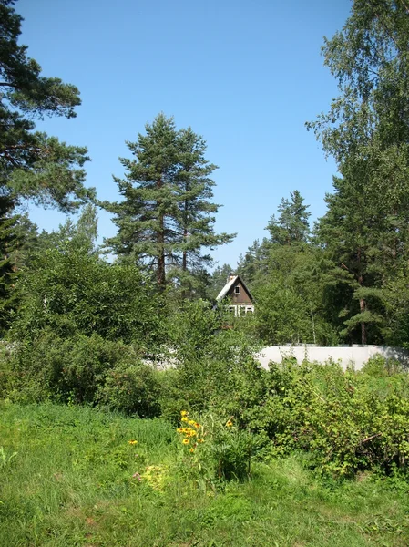 Stuga Landet Sommaren Karelska Näset在该国的小屋 卡累利阿地峡 — Stockfoto