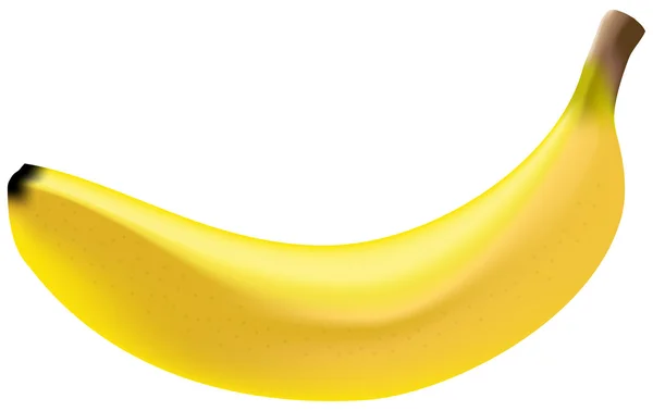 Foto Banana realistica — Vettoriale Stock