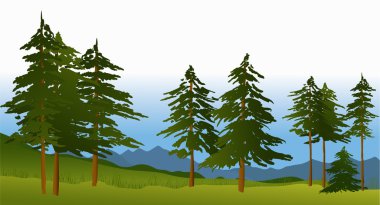 Green forest clipart