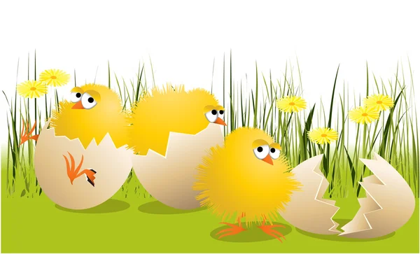 Easter chickens — Stock Vector