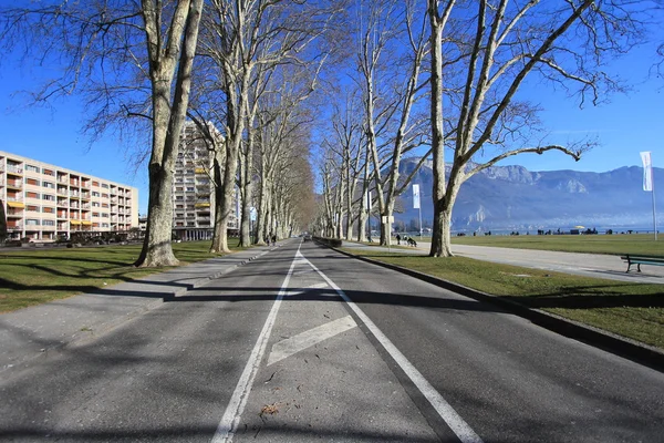 Annecy Trees Road — Stock Photo, Image