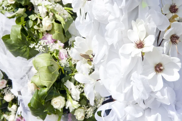 Цветы невесты — стоковое фото