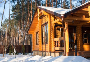 Wooden house at pine forest clipart