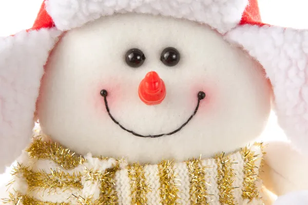 Снеговик в шляпе и шарфе — стоковое фото