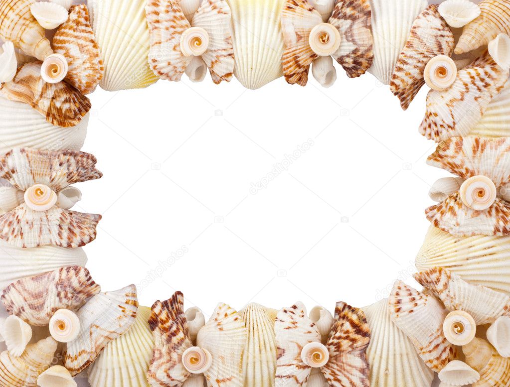 Sea shells frame