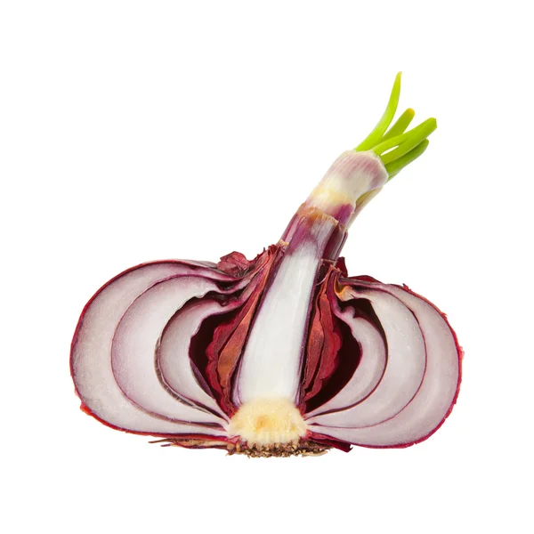 Slice Red Onion Isolated White — Stock Photo, Image