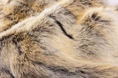 Animal fur. Use for texture or background clipart
