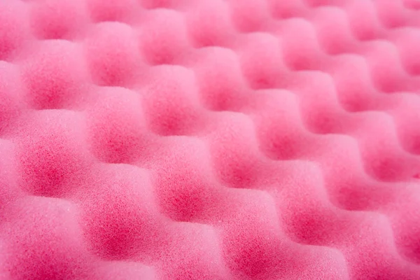 Růžové čisticí houba — Stock fotografie