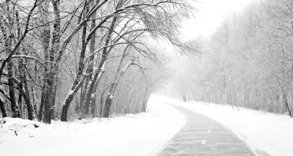 Αγροτικό δρόμο, στο δάσος του χειμώνα — Φωτογραφία Αρχείου