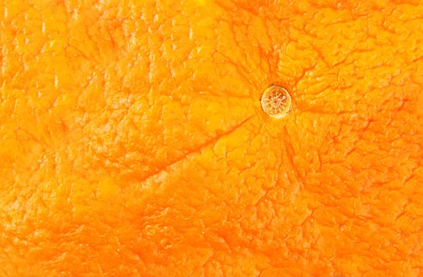 Close-up of orange peel — Stock Photo, Image