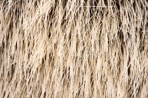 동물의 털 — 스톡 사진