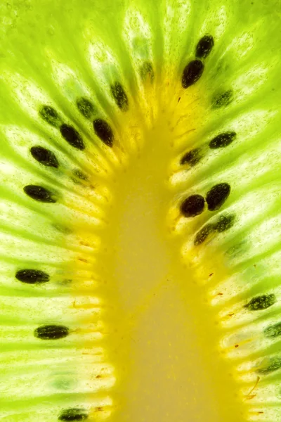Rijp kiwi segment — Stockfoto