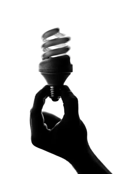 Silueta ruka drží lampa spirála — Stock fotografie