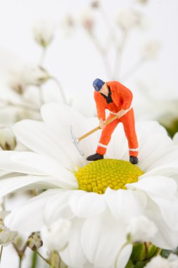 Figurine of worker carrying camomile clipart