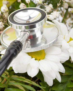 Examining flower by stethoscope clipart