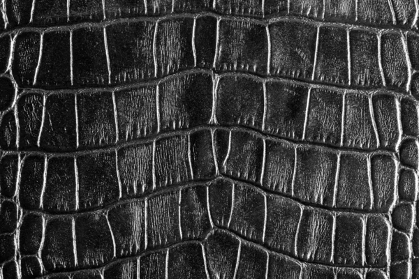 Rough black leather — Stock Photo, Image