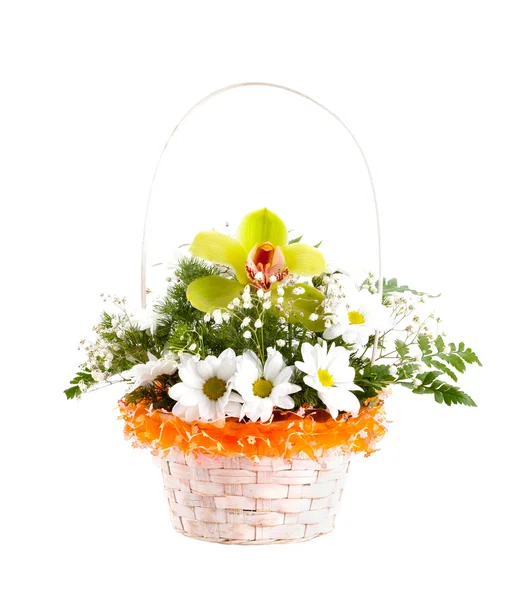 Spring camomiles in wicker basket — Stock Photo, Image