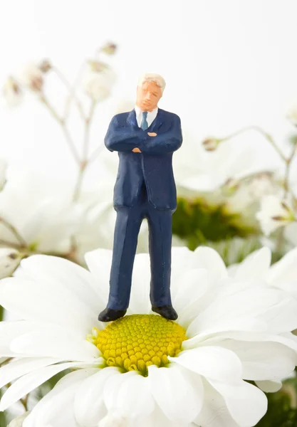 Figurine of businessman standing on daisy — Stock Photo, Image
