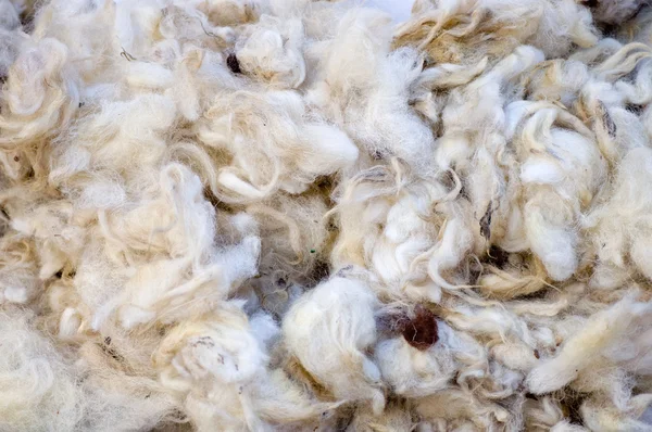 Close-up shot of wool
