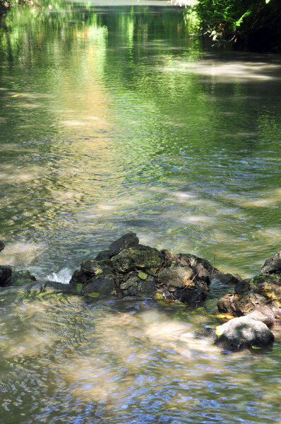 River colored green with the reflection of sun to partial shade