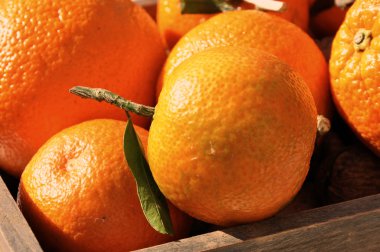 Basket of clementines