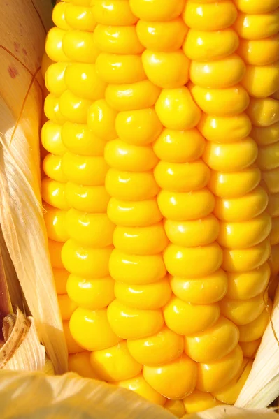 Filamento de maíz visto cerrar —  Fotos de Stock