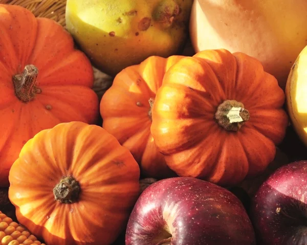 Frukt och grönsaker i säsong — Stockfoto