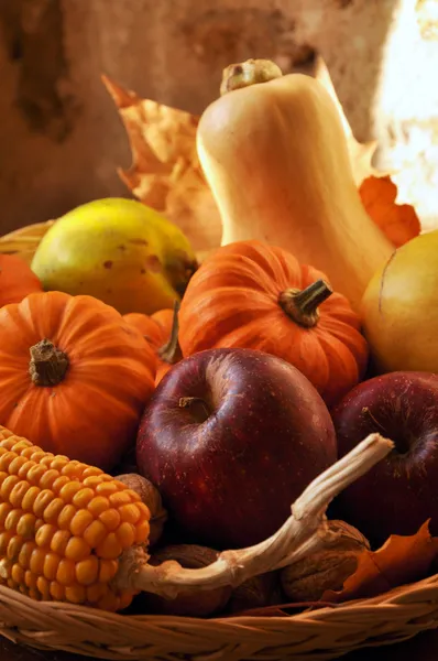 Ovoce a zelenina v sezoně — Stock fotografie