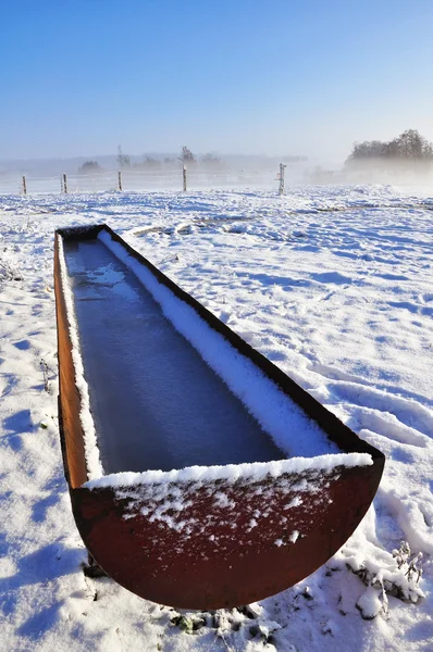 Trog mit gefrorenem Wasser gefüllt — Stockfoto
