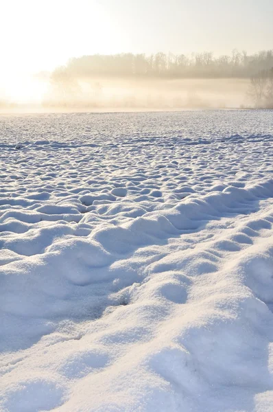 Paesaggio nevoso e nebbioso — Foto Stock