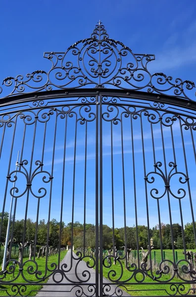 Dövme Demir Kapısı Görmüş Yakın Mavi Gökyüzü Altında — Stok fotoğraf