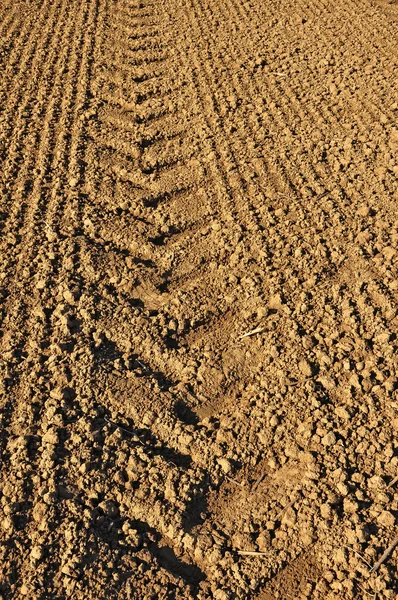 Traces Tractor Wheels Ground — Stock Photo, Image