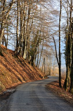 Dağ yolu