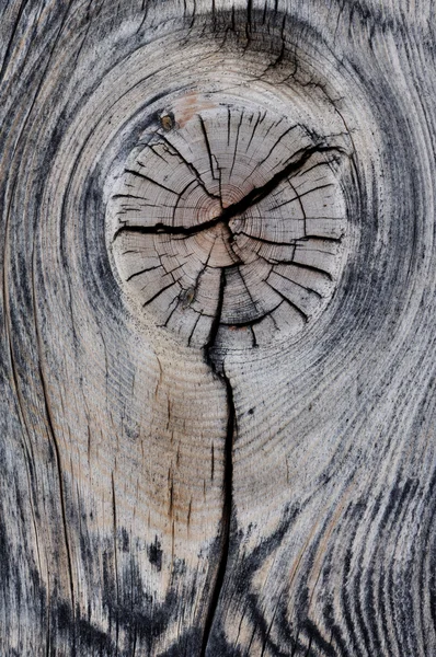 Κόμβος σε ένα κομμάτι της πεθαμένο δέντρο — Φωτογραφία Αρχείου