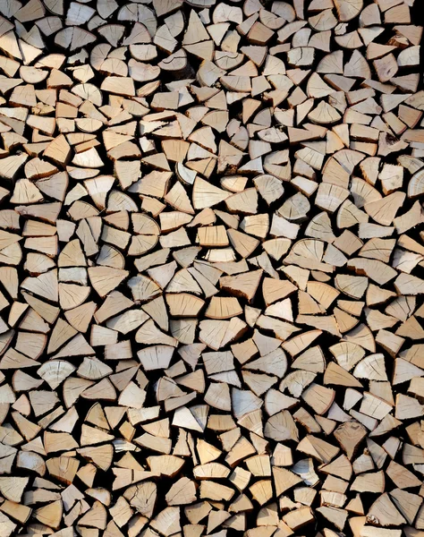 Secciones de madera — Foto de Stock