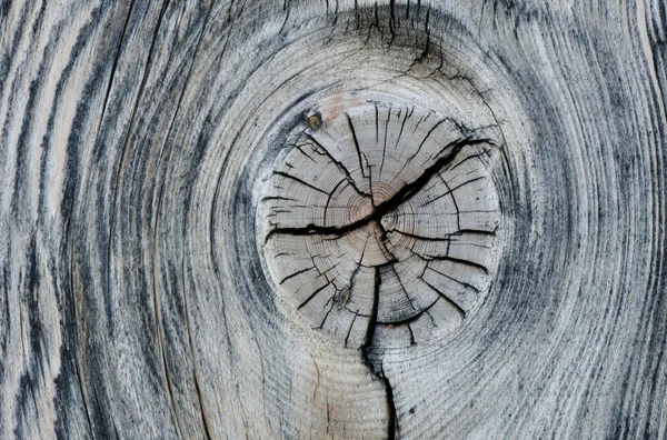 Nœud sur un morceau d'arbre mort — Photo