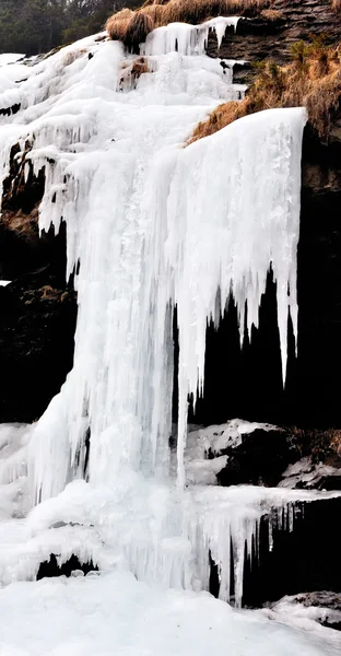 Donmuş sel — Stok fotoğraf