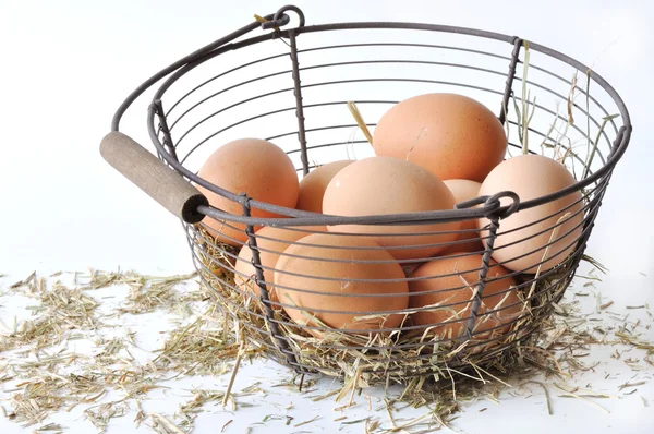 Uova nel cestino e paglia — Foto Stock