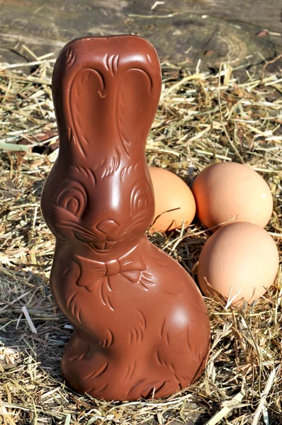 Çikolata bunny ve yumurta — Stok fotoğraf