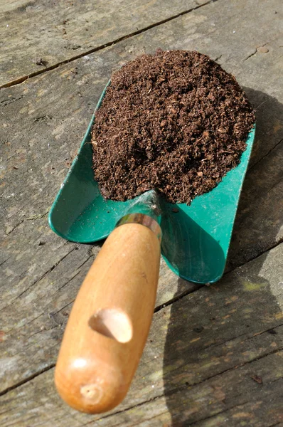 Soil in planter — Stock Photo, Image