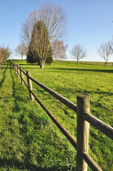 Деревянный забор в саду — стоковое фото
