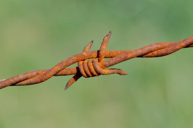 Rusty barbed clipart